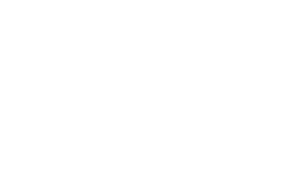 Seiko Frames